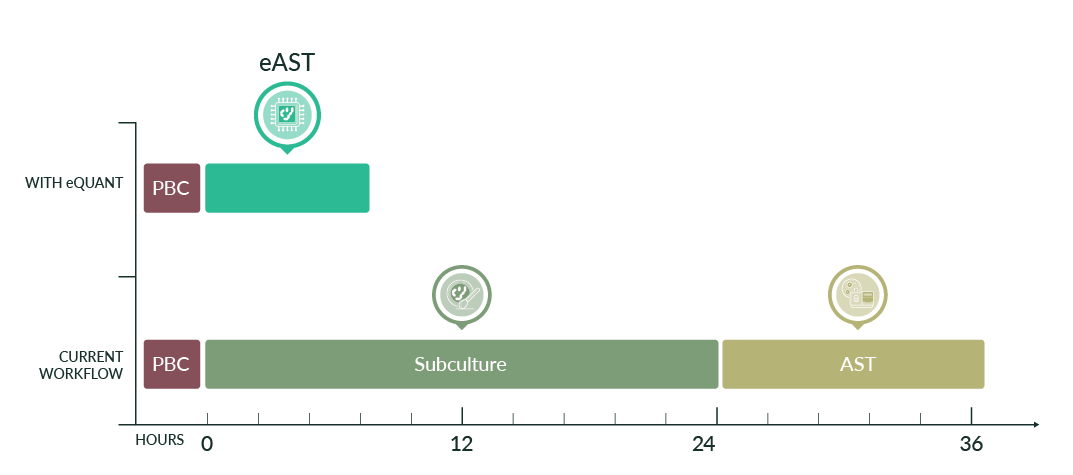 eAST timeline