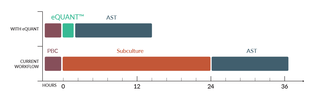 eQUANT timeline